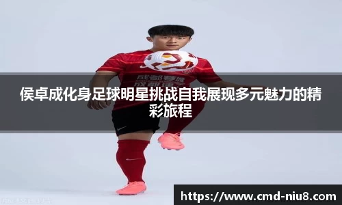 牛八体育平台