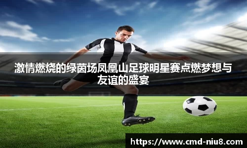激情燃烧的绿茵场凤凰山足球明星赛点燃梦想与友谊的盛宴